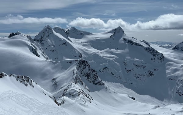 Excellent view of the second half of the traverse. L to R: Iago Glacier, Fitzsimmons Glacier, Overlord Glacier